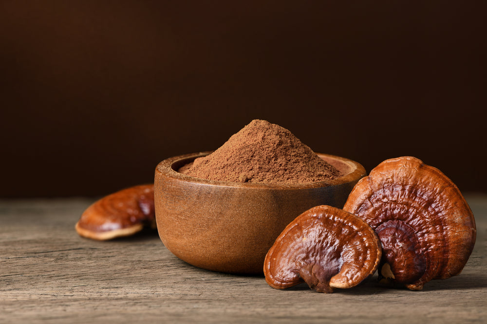 deluxesupps medicinal mushrooms