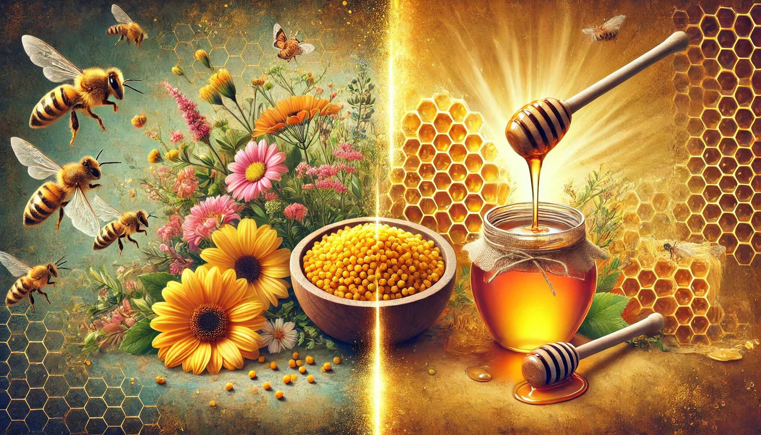 Bee Pollen vs. Honey: What's the Difference and Which Is Better? - Deluxesupps